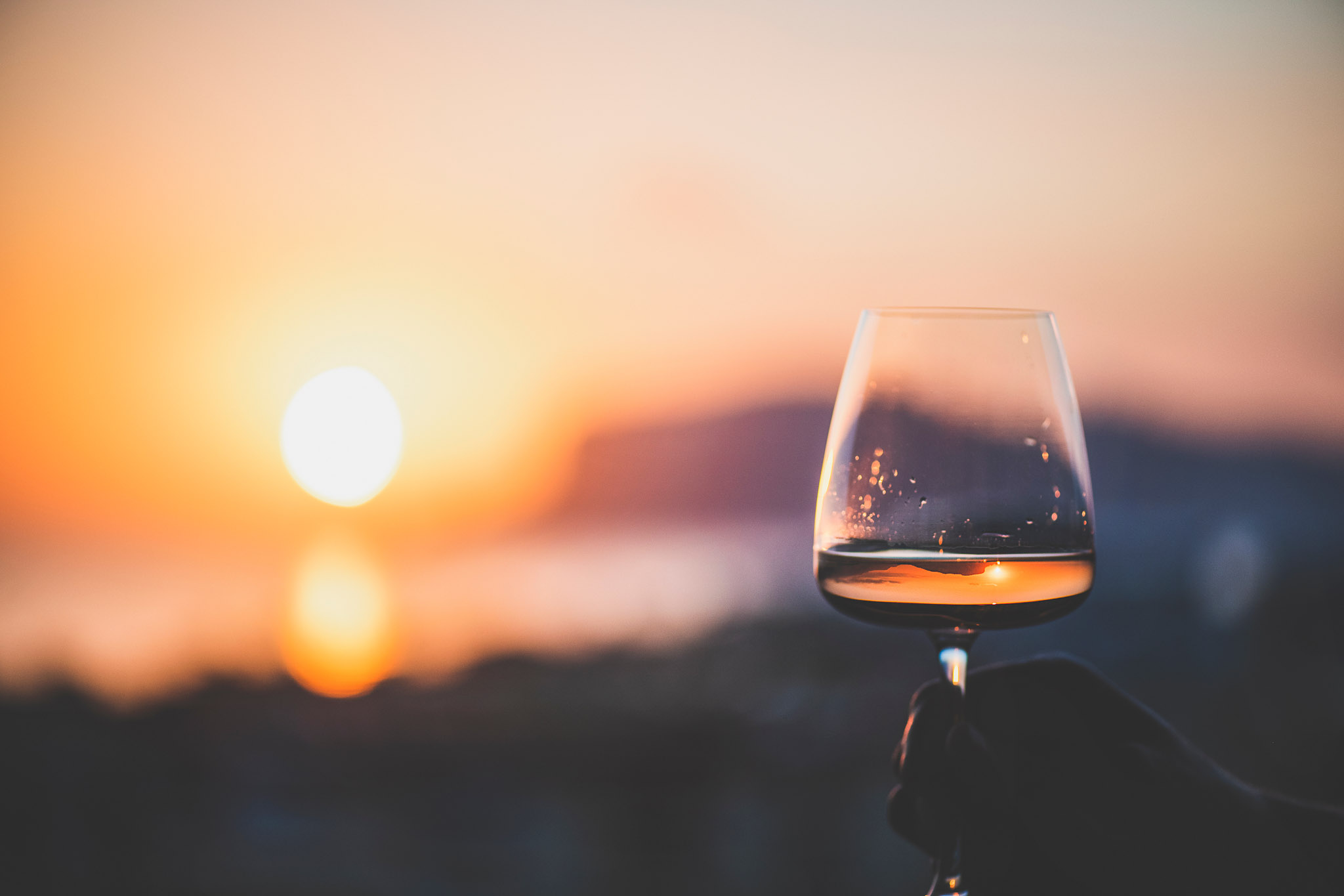 SIP Complimentary Membership