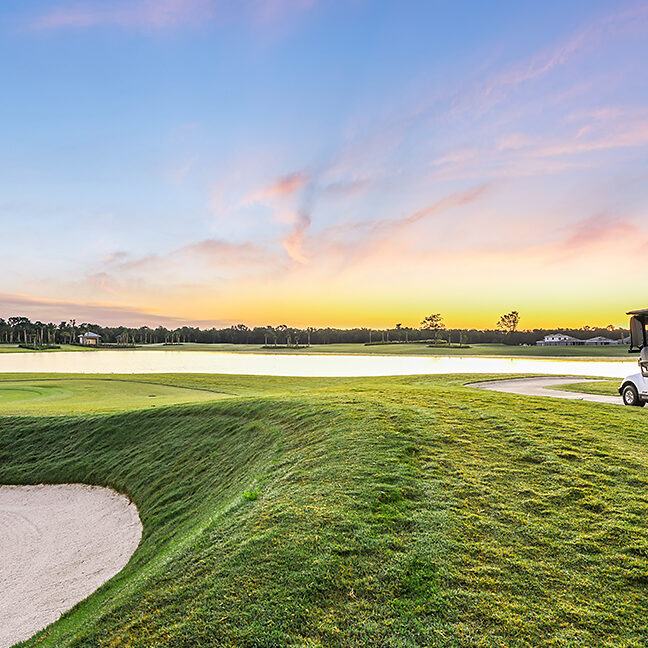 Golf Cart